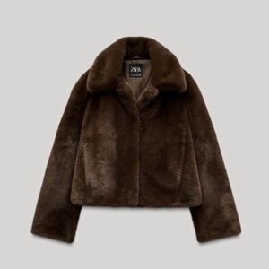 Zara Women's Chocolate Teddy Jacket